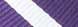 PURPLE W/SILVER