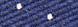 NAVY W/WHITE