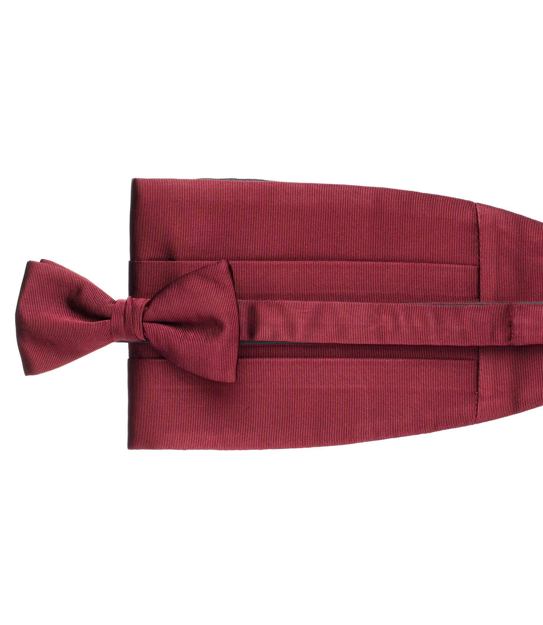 Tie and Cummerbund Set