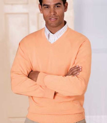 JoS. A. Bank Signature Cotton V Neck Sweater- Pale...