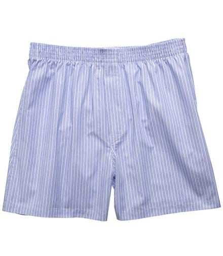 Bold Blue/White Stripe Boxer