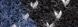 BLACK/BLUE