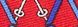RED SKIS