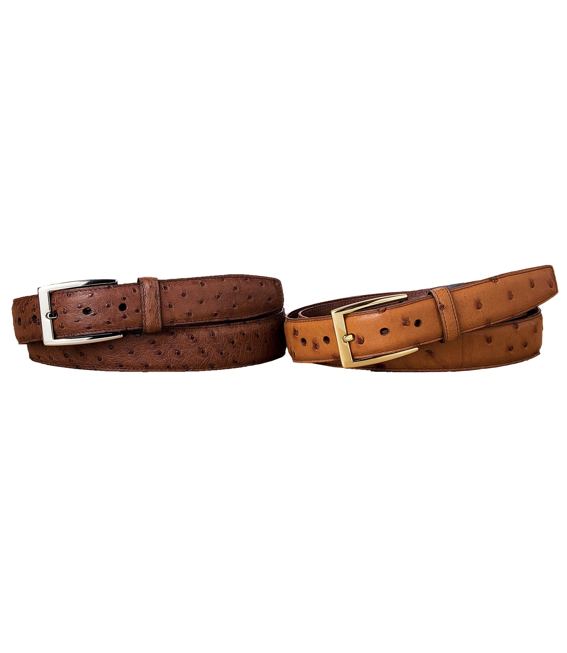 Signature Ostrich Belt