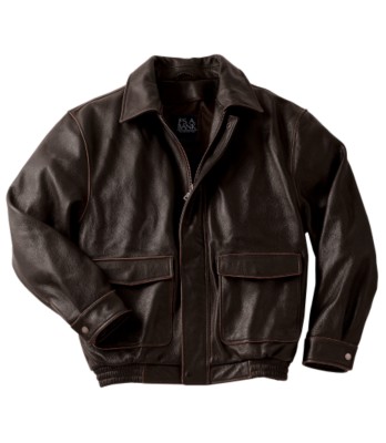 JoS. A. Bank Vintage Look Leather Aviator Jacket