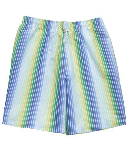 VIP Swim Trunks - Blue Multi Stripe