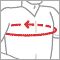 Chest Diagram